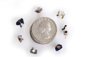 莊河市牧副漁有限責任公司